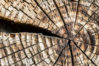 Eski ahşap arkaplan veya doku 