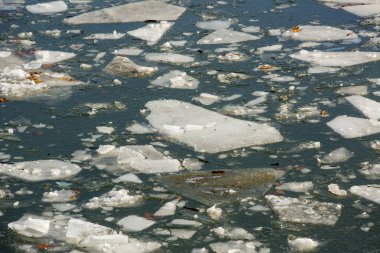 Tuna nehrinde büyük bir buz kütlesi. Bir kış günü, kıyıya yakın.