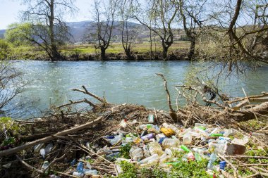 Ormandaki nehrin kıyısındaki çöp.