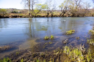 Nehir ve ağaçlar bahar