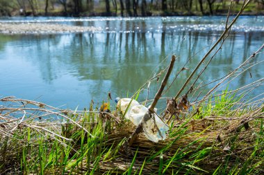 Ormandaki nehrin kıyısındaki çöp.