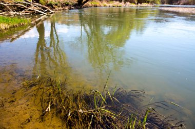 Nehir ve ağaçlar bahar