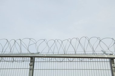 İki ülke arasındaki sınırda dikenli tel