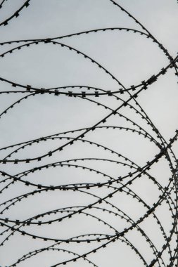 İki ülke arasındaki sınırda dikenli tel