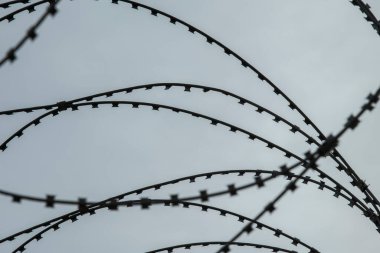 İki ülke arasındaki sınırda dikenli tel