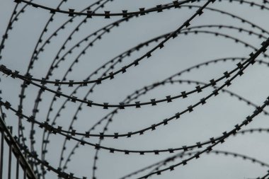 İki ülke arasındaki sınırda dikenli tel