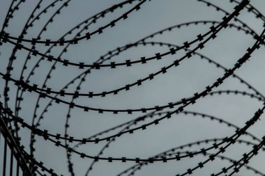 İki ülke arasındaki sınırda dikenli tel