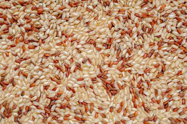 İntegral, kahverengi pirinç taneleri