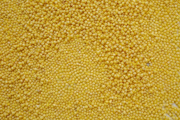 Whole Millet Pearl Grains Background