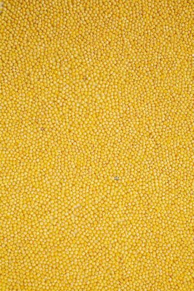 Whole Millet Pearl Grains Background
