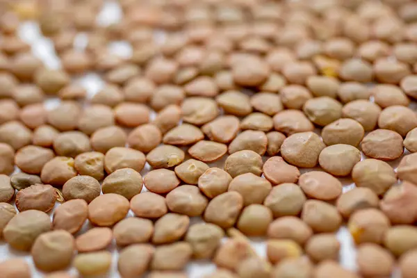 Brown Lentils Lentil Cereal Pile — Stock Photo, Image