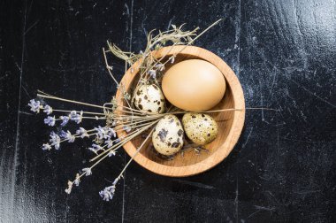 tavuk ve Bıldırcın yumurta bir kapta