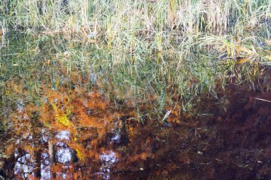 Sonbaharda bir nehrin manzarası