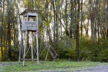 Av minberi. ormanda otlak üzerinde ahşap av kulesi
