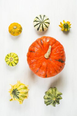 Beyaz üzerinde küçük ve büyük balkabakları