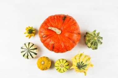 Beyaz üzerinde küçük ve büyük balkabakları