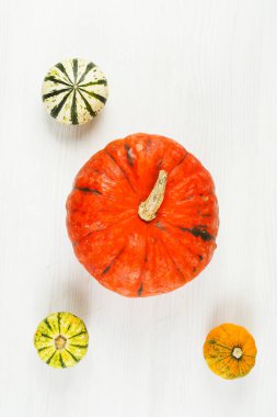 Beyaz üzerinde küçük ve büyük balkabakları