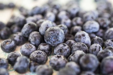 Beyaz arkaplanda yaban mersini izole edilmiş.