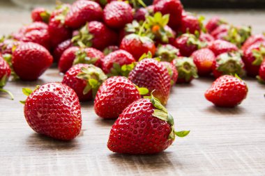 çilek Bahçe'nın masasında