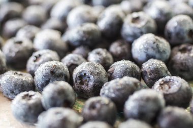 Beyaz arkaplanda yaban mersini izole edilmiş.