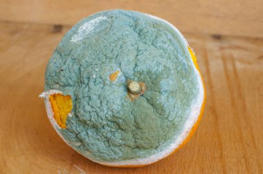 Ahşap arka planda küflü bir portakal