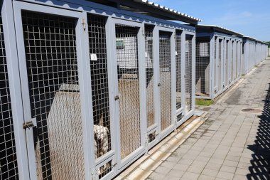 Novi Sad - 11 Mayıs 2015: Novi Sad yakınlarında bir köpek barınağı, Sebia