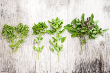 Ahşap arka planda taze fesleğen