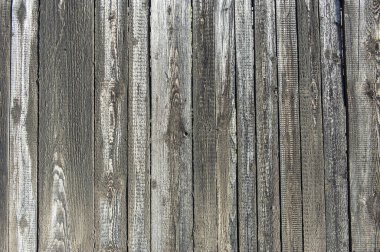 Ahşap doku. arkaplan eski panelleri