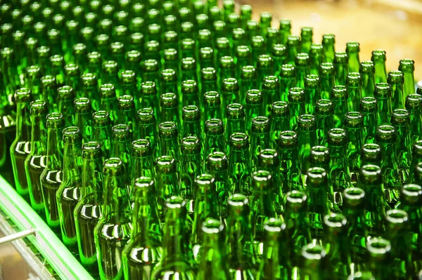 Beer bottles of green glass