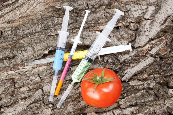 Genetically modified organism - ripe tomato with syringes