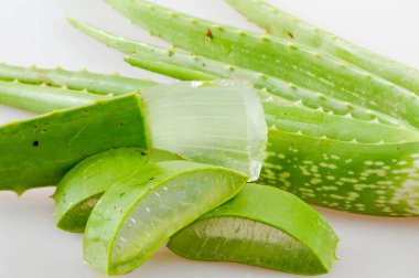 Fresh aloe vera for treatment and skin care leaves and slices of aloe vera on white background.