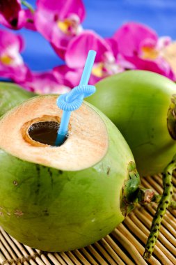 Freshly cut green tropical coconut fruit ready to drink.