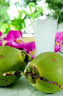 Glass of coconut juice with coconut meat and coconut.