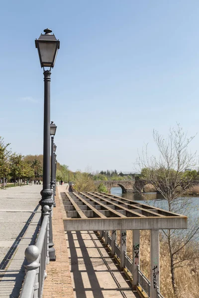 Tagus Nehrinin Kıyısına Park Talavera Reina Dan Geçerken Sokak Lambaları — Stok fotoğraf