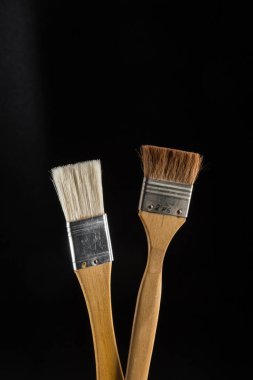 Hafif tonlarda iki küçük fırça, sarı tüyleriyle, siyah bir arkaplanda fotoğraflanmış.