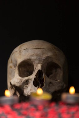 skull in the dark, in the foreground blurred red elements and some lit candles, allusion to the night of the dead, fear on Halloween clipart