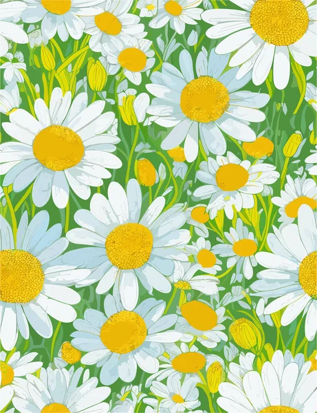 Daisy Blume Vektor Muster Illusion Blumigen Hintergrund — Stockvektor