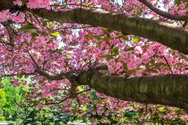 Dnipro Ulusal Demiryolu Üniversitesi Taşımacılık