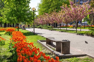 Ebedi Zafer Anıtı, Yavornitsky Bulvarı, Dnipro Şehri, Ukrayna