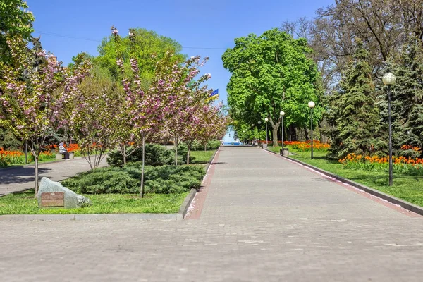 Monumento Glória Eterna Avenida Yavornitsky Cidade Dnipro Ucrânia — Fotografia de Stock