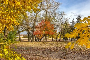 Manastır Adası, St. Nicholas Kilisesi, Merefo-Kherson demiryolu köprüsü, Ukrayna, Dinyeper şehri