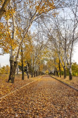 Manastır Adası, St. Nicholas Kilisesi, Merefo-Kherson demiryolu köprüsü, Ukrayna, Dinyeper şehri