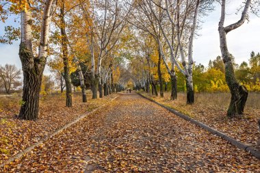 Manastır Adası, St. Nicholas Kilisesi, Merefo-Kherson demiryolu köprüsü, Ukrayna, Dinyeper şehri