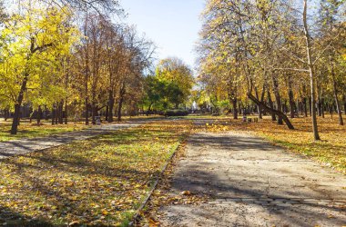 Park adını Taras Grigorievich Shevchenko 'dan almıştır, Dnepr şehri, Ukrayna