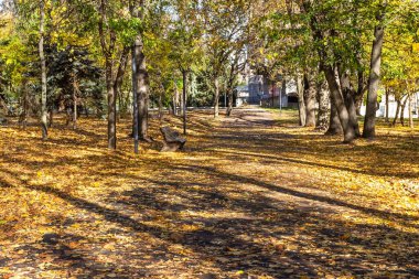 Park adını Taras Grigorievich Shevchenko 'dan almıştır, Dnepr şehri, Ukrayna