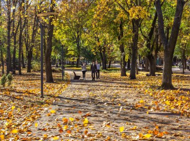 Park adını Taras Grigorievich Shevchenko 'dan almıştır, Dnepr şehri, Ukrayna