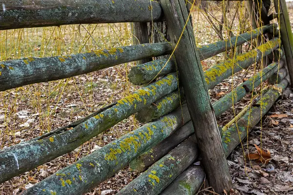 Dinyeper genişliği, Vorontsov plajı, Vorontsov parkı, Dinyeper şehri, Ukrayna