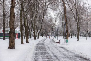 Shevchenko T.G. Park, DNU Öğrenci Sarayı, Dnepr, Ukrayna
