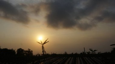 Parlak ışık, yabani otların siluetleri arasında kırmızı parlıyor.