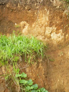 Merkezi Cava 'daki Mantran Wetan Köyü' nden Sumbing Dağı görüldü.